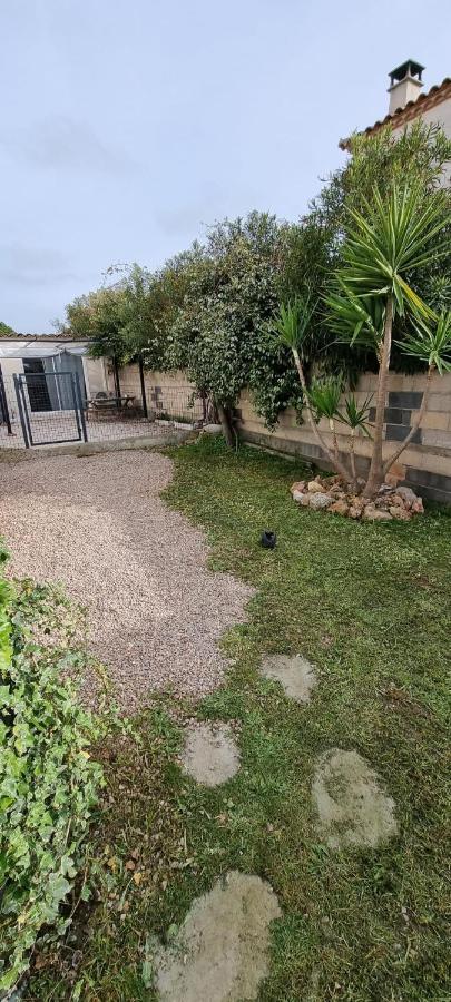 Le Cocon Apartment Balaruc-les-Bains Ngoại thất bức ảnh
